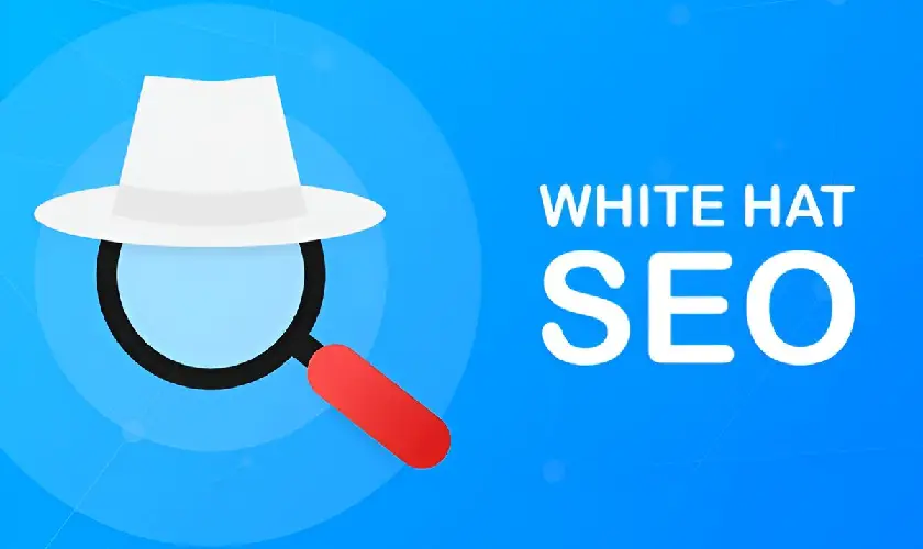 white hat seo